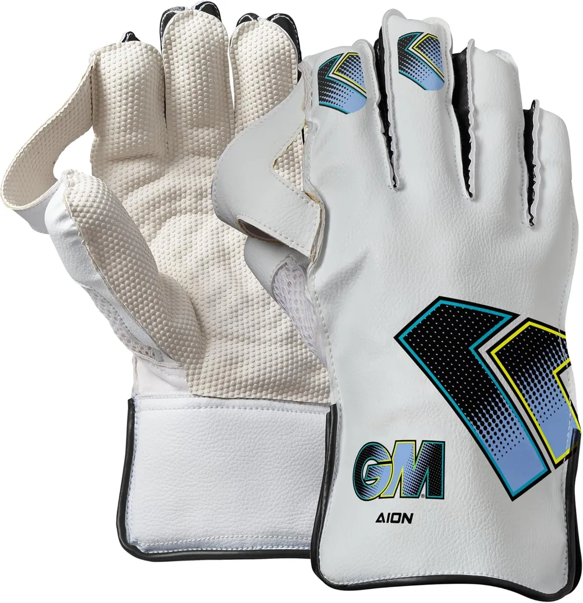Gunn & Moore GM Aion Premium Cricket Wicket Keeping Premium Gloves.jpg