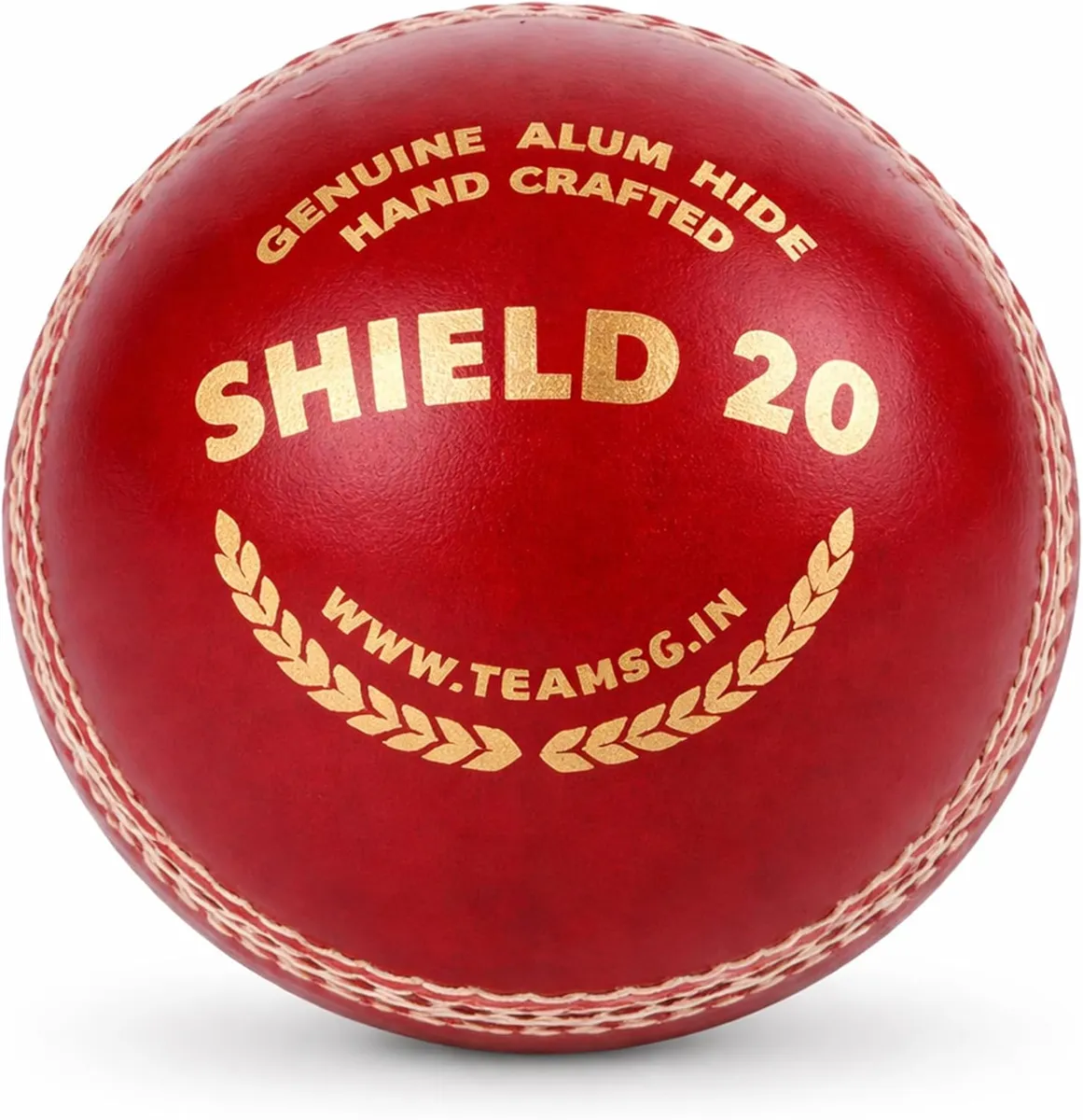 Best Budget Leather Ball