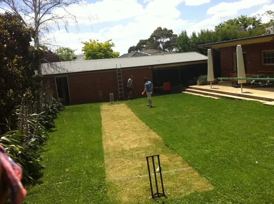 backyard-cricket-rules-&-setup
