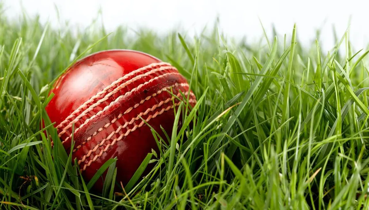 Best Cricket Sidearm Ball Throwers 2026 for Throwdowns