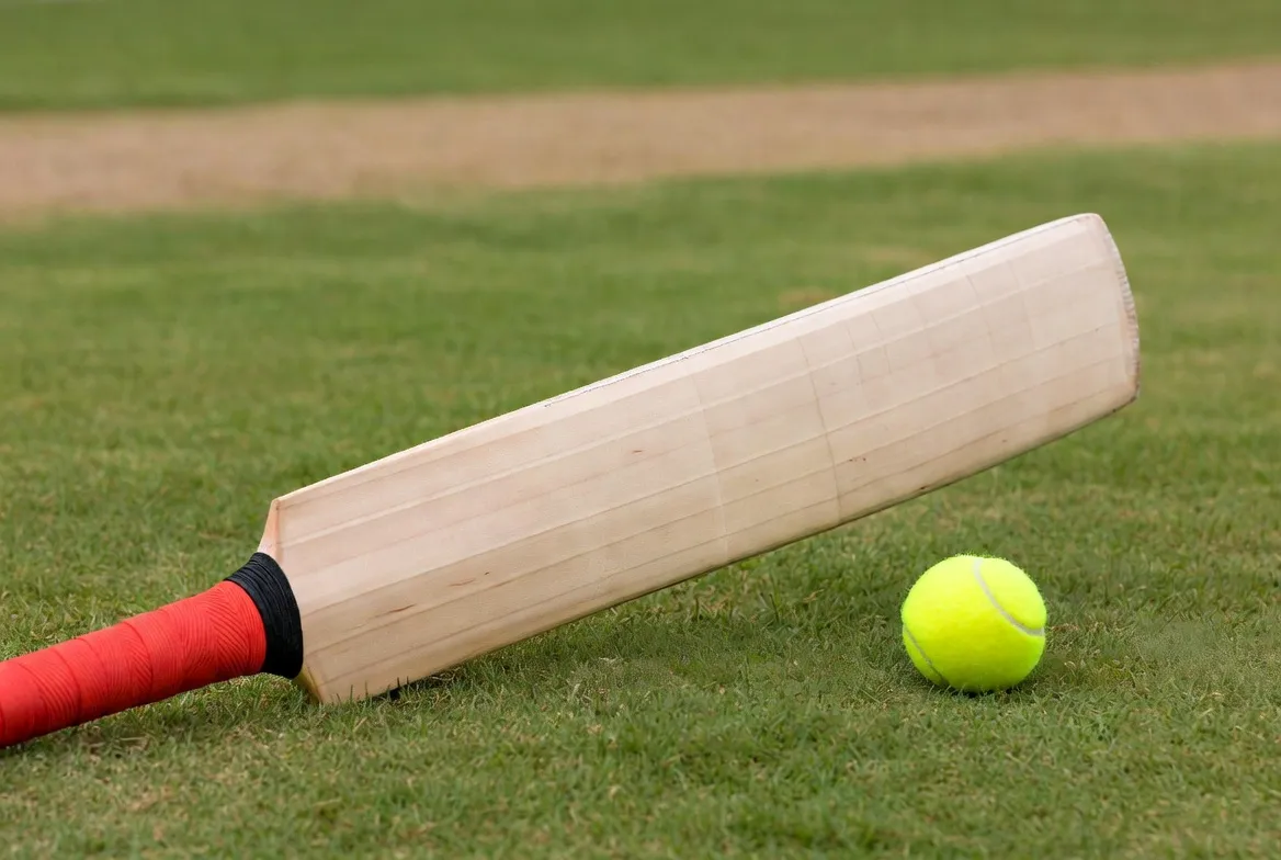Best Tennis Ball Cricket Bat in 2026: Top 5 for Power, Pickup & Price