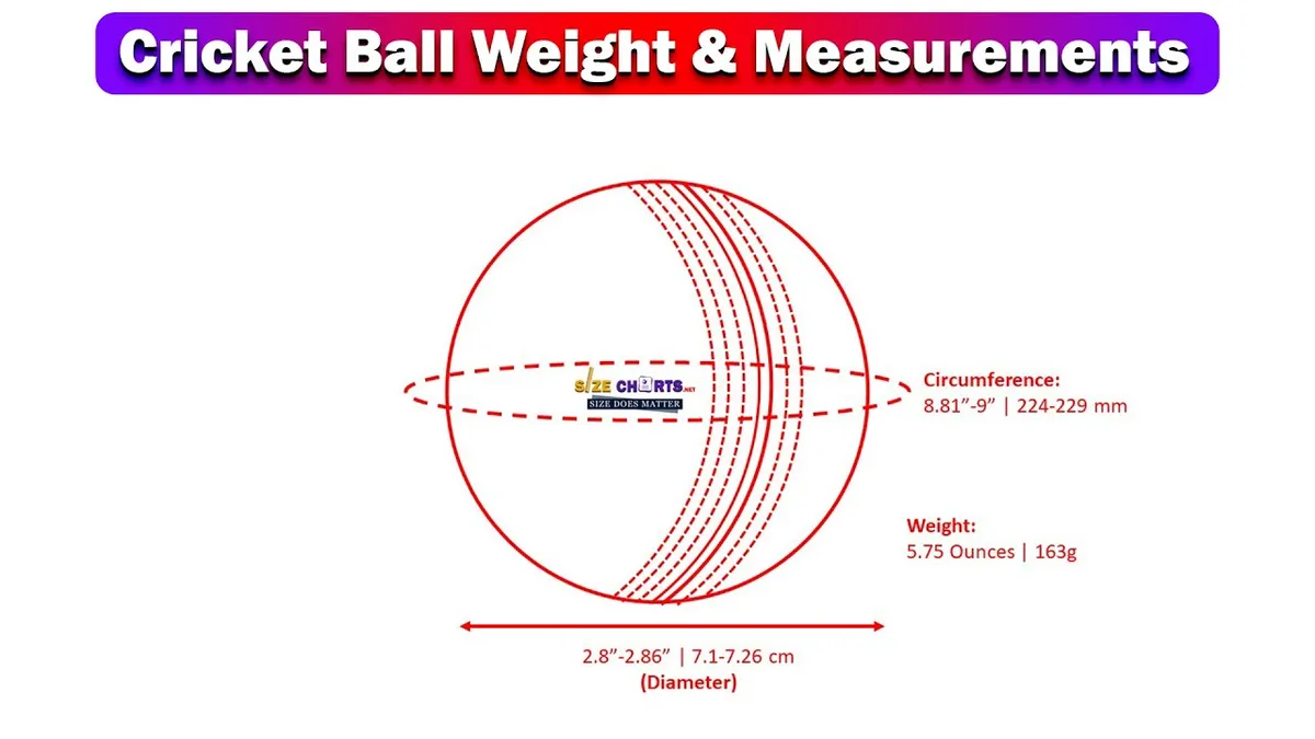 Cricket Ball Weight, Size & Dimensions | Complete Guide