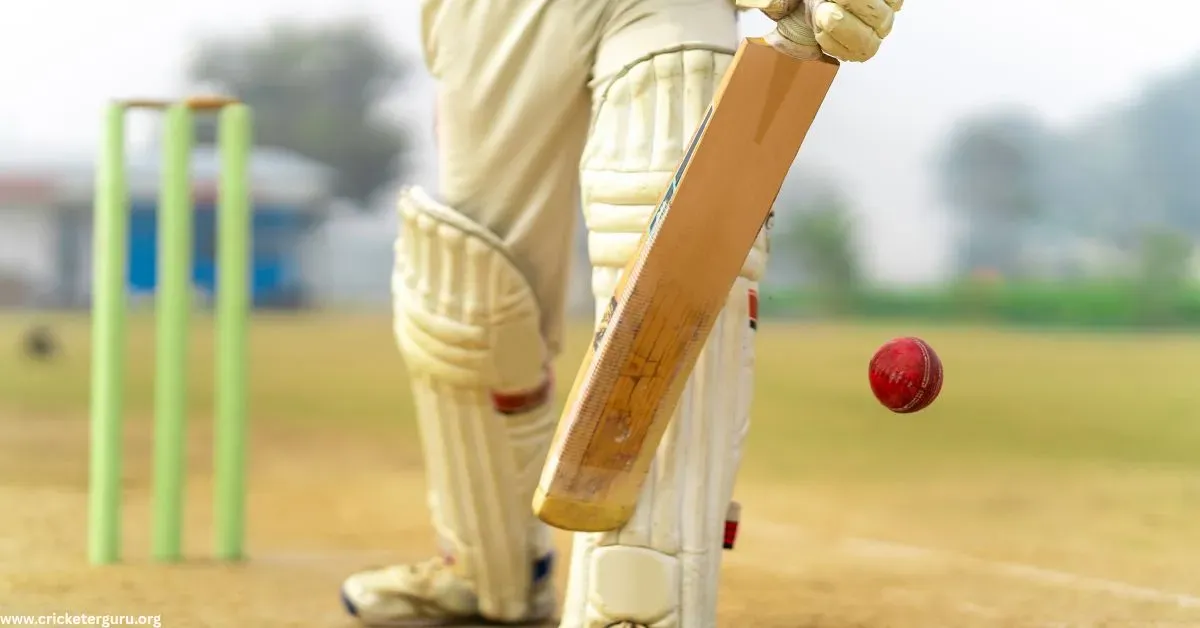 Cricket Bat Size Guide | Choose by Age & Height