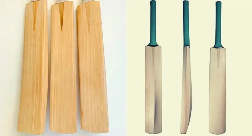 English Willow vs Kashmir Willow | Which to Buy?