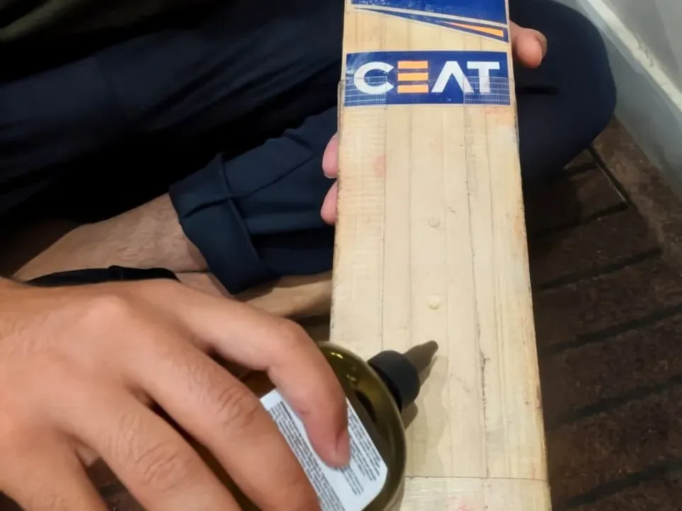 how-to-oil-a-cricket-bat-why-oil-a-cricket-bat.webp
