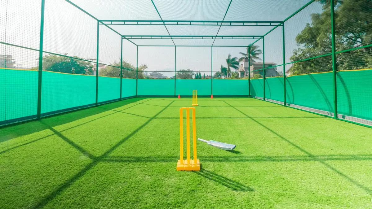 Backyard cricket net setup