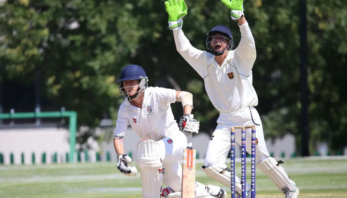 What Is a Bump Ball in Cricket? The Catch Umpires Ignore