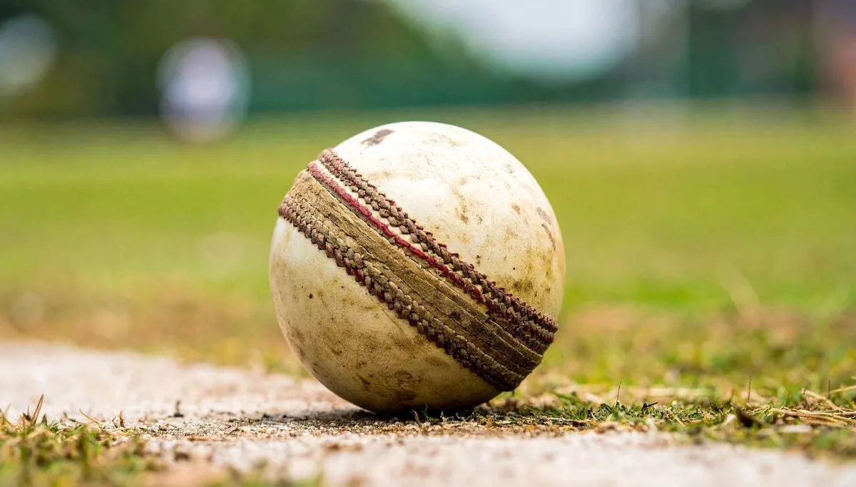 How a Carrom Ball Is Bowled.jpg