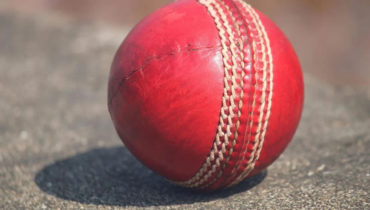 Googly vs Doosra and Other Spin Deliveries.jpg