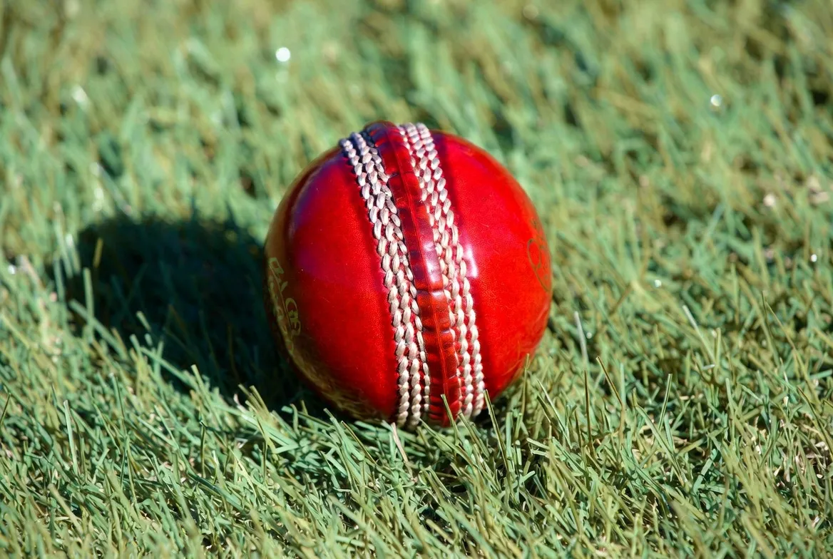 What Does Nightwatchman Mean in Cricket.jpg