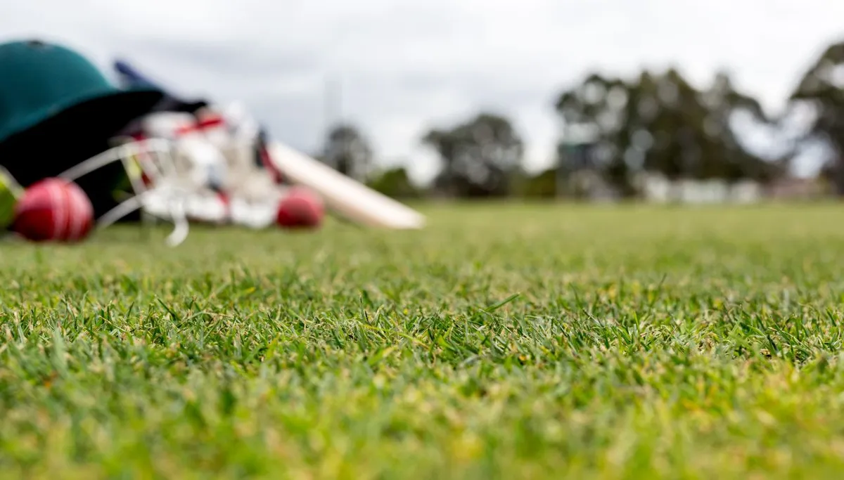 What Is a Powerplay in Cricket? The Overs Batters Attack