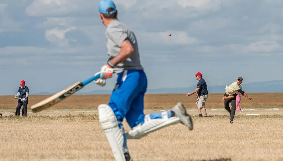 Which Batter Is Run Out.jpg